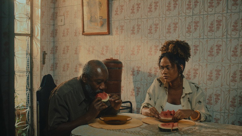Seco still 4
