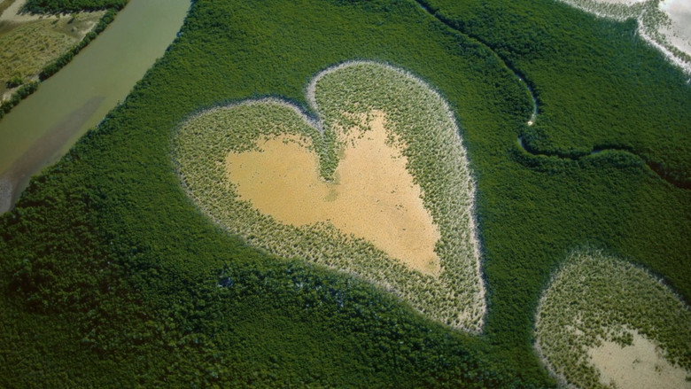 Nature: The Call for Reconciliation still 5