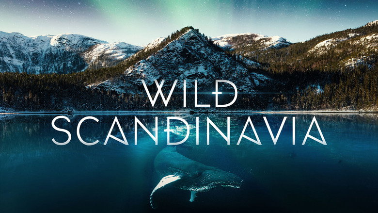 Wild Scandinavia still 2