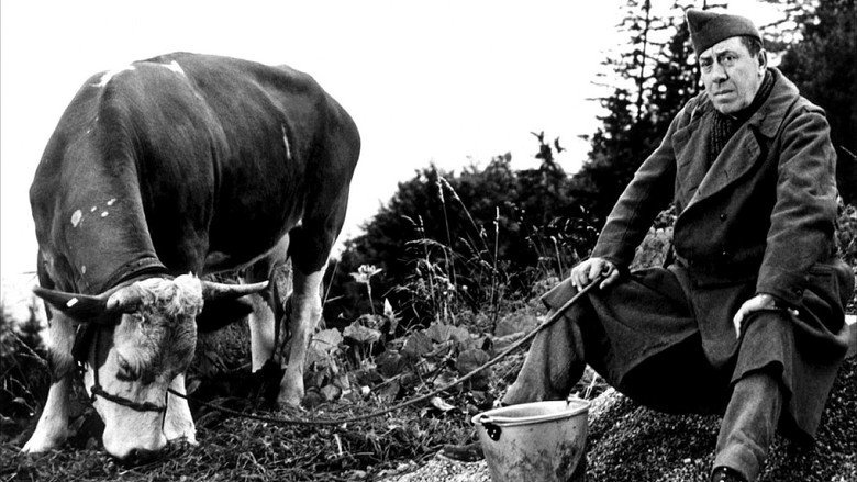 The Cow and I still 5