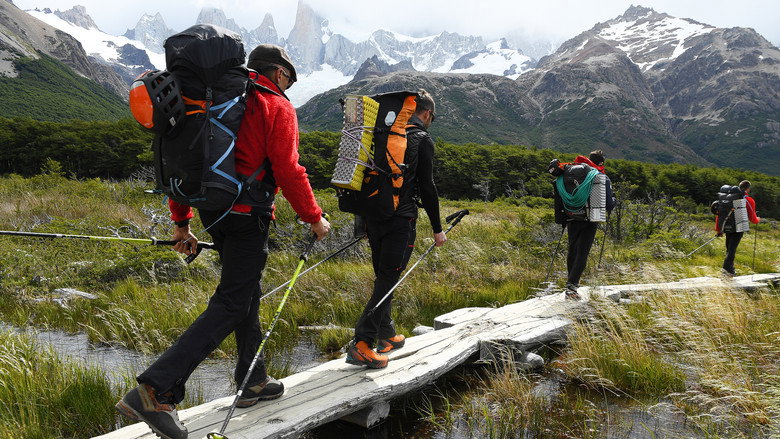 Patagonia Wings still 2