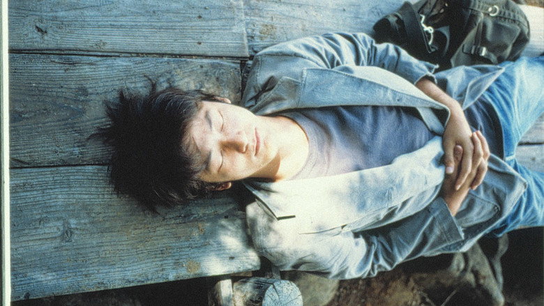 Distance still 5