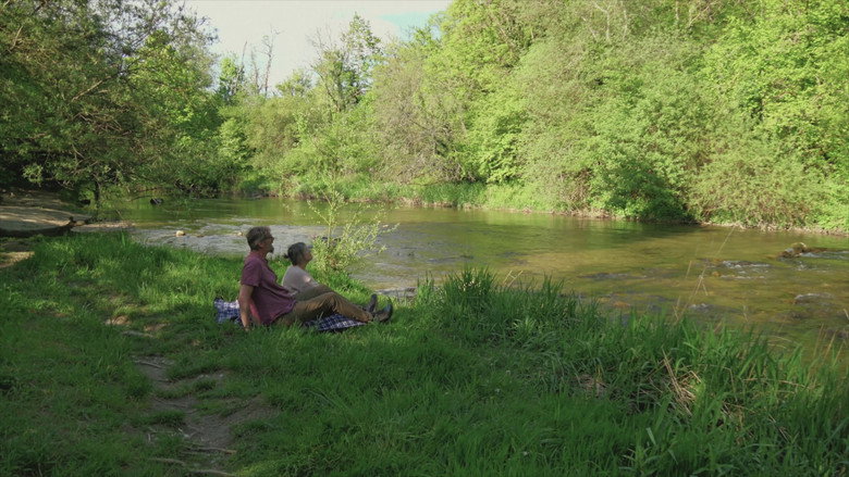 Les herbes still 1