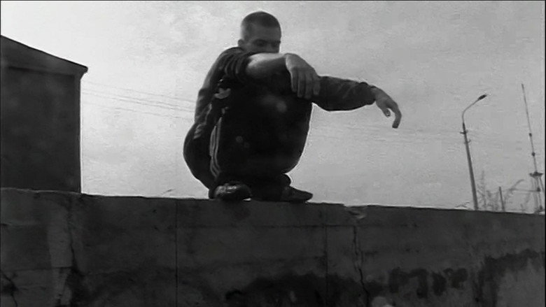 Cicuta still 2
