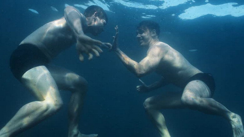 The Dam still 5