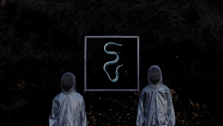 STRATA INCOGNITA still 3