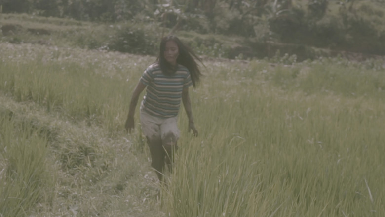 Kite still 5