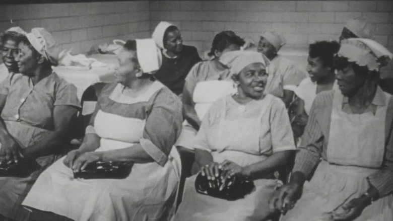 All My Babies... A Midwife's Own Story still 1