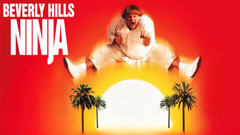 Beverly Hills Ninja still 6