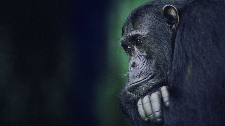 Kingdom of the Apes: Battle Lines still 2