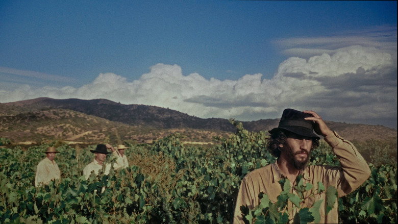 SHORTCUT still 1