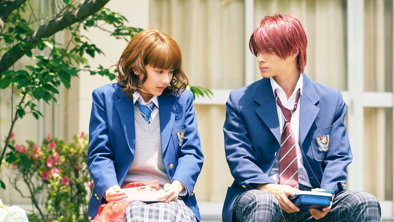 Honey still 3
