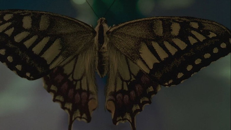 Swallowtail Butterfly still 3