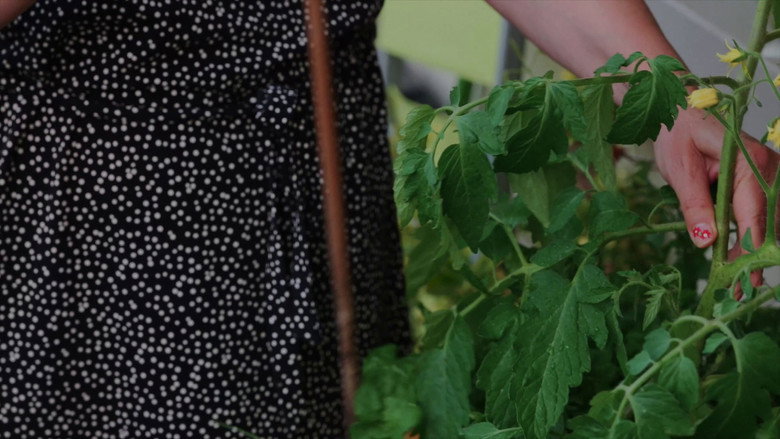 Les herbes still 3