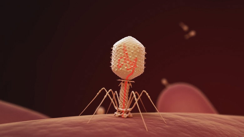 The Virus Within Us still 3