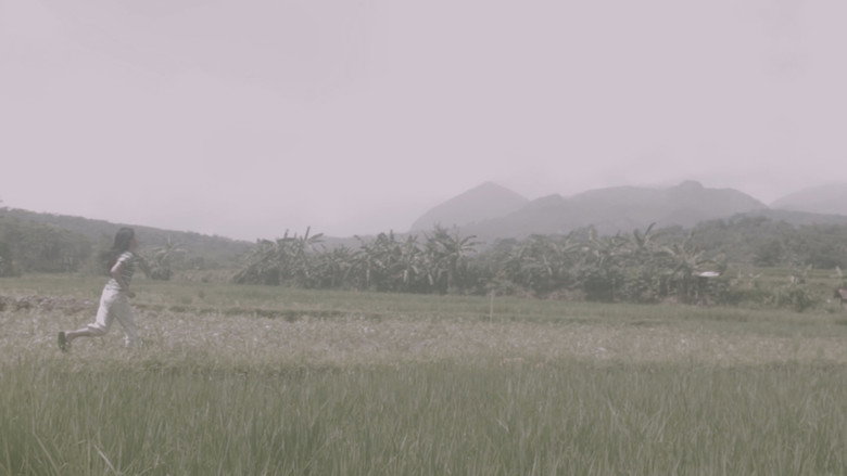 Kite still 2