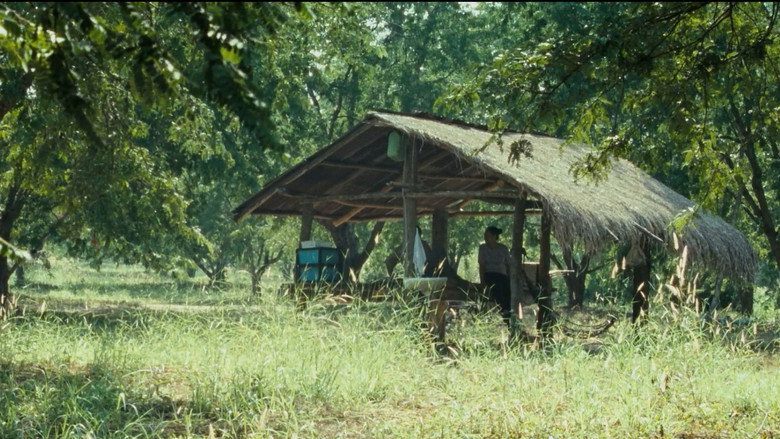 Uncle Boonmee Who Can Recall His Past Lives still 8
