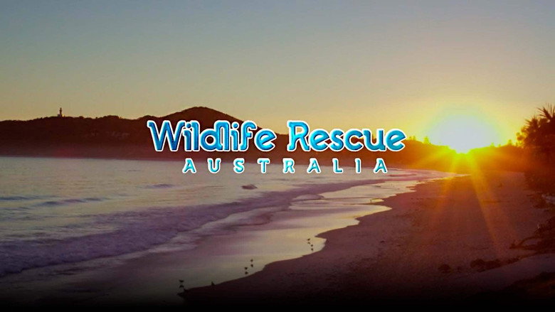 Wildlife Rescue Australia still 5