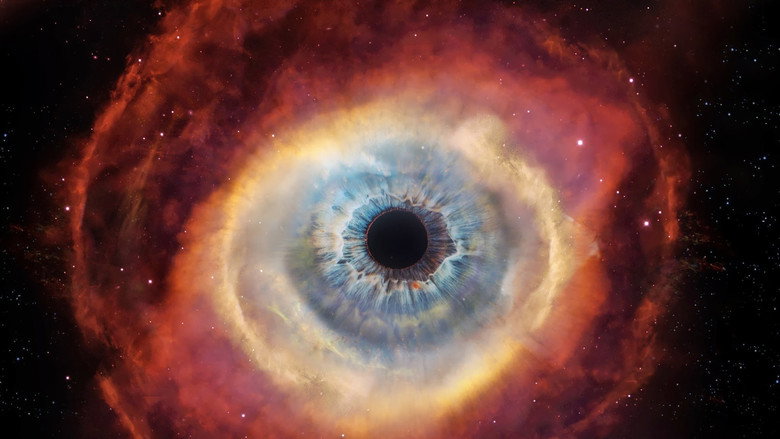 Cosmos still 2