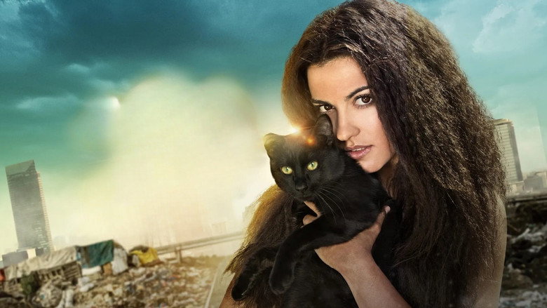 The Stray Cat still 1