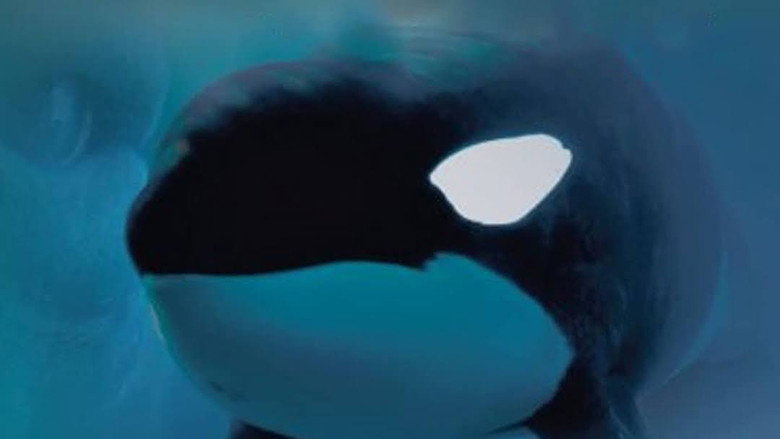 Keiko: The Untold Story still 1