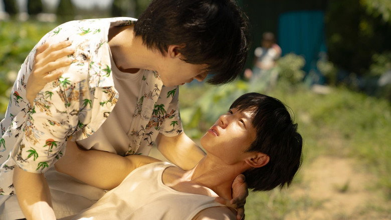 Pink Summer still 1