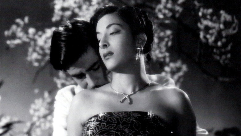 Awaara still 3