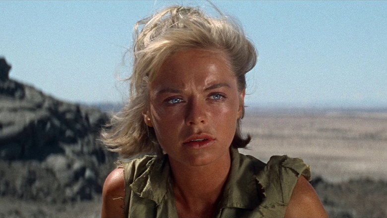 Sands of the Kalahari still 8