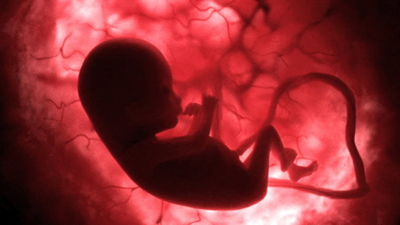 Life Before Birth still 1