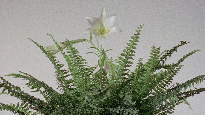 Diptych still 4