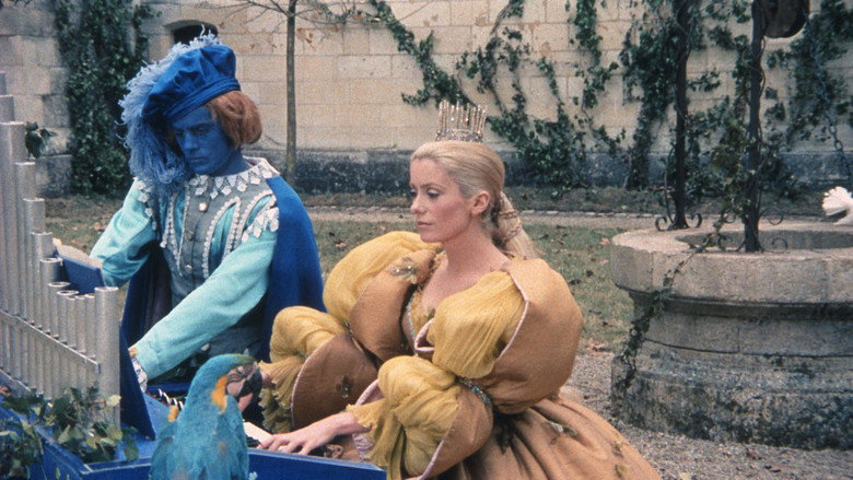 Donkey Skin still 6