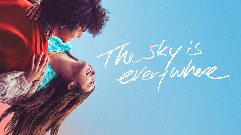 The Sky Is Everywhere still 7