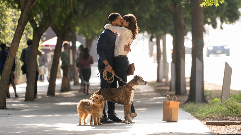 Dog Days still 2