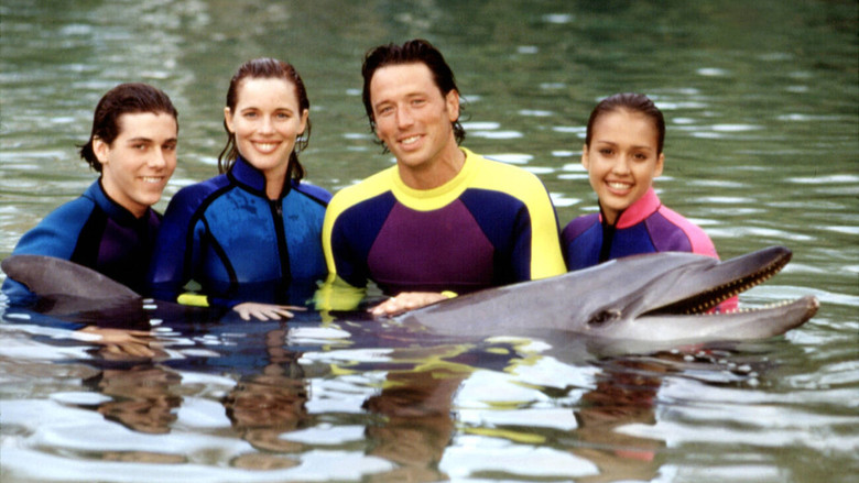 Flipper still 7