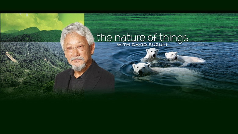 The Nature of Things still 7