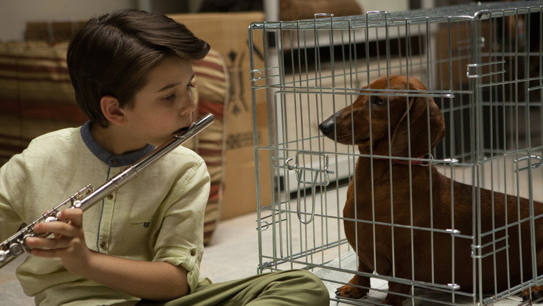 Wiener-Dog still 5