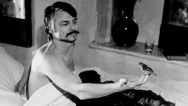 Andrey Tarkovsky. A Cinema Prayer still 2
