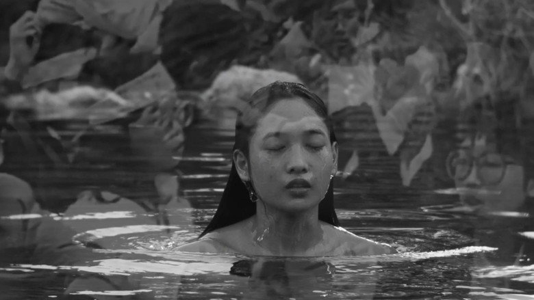 The Island's Story still 8
