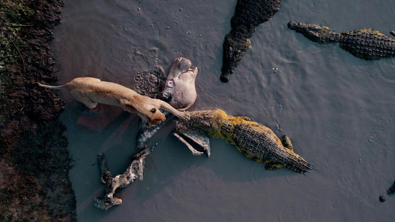 Katavi Africa's Fallen Paradise still 1