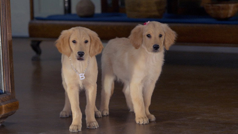 Treasure Buddies still 5