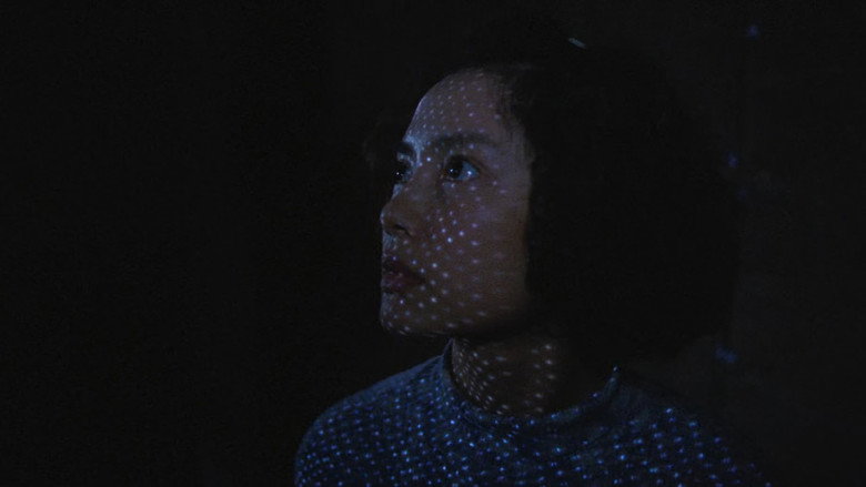Goodbye, Dragon Inn still 3