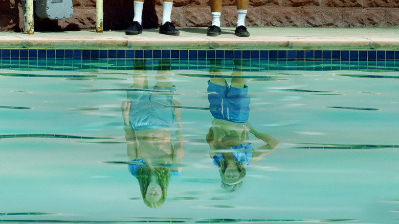 Agua Donkeys still 1