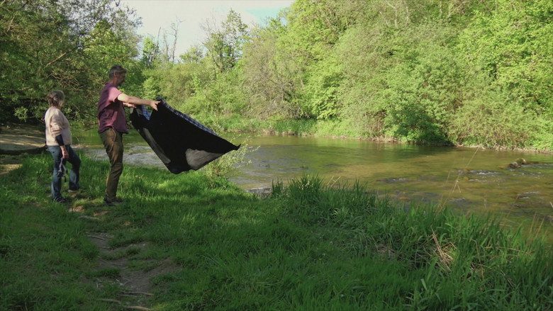 Les herbes still 4