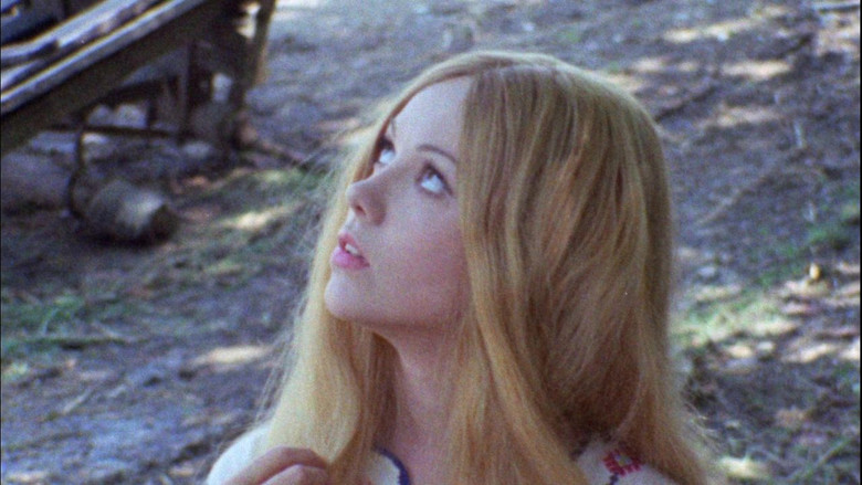 Leptirica still 3