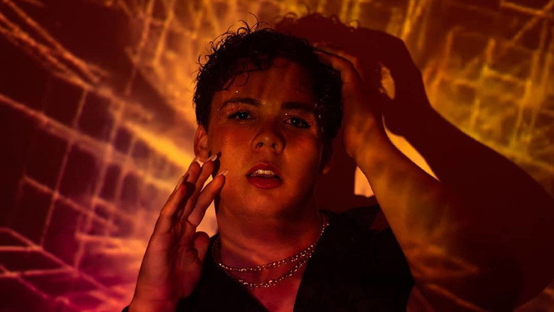 Flamboyants still 2