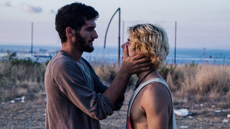 Il nostro ultimo still 1