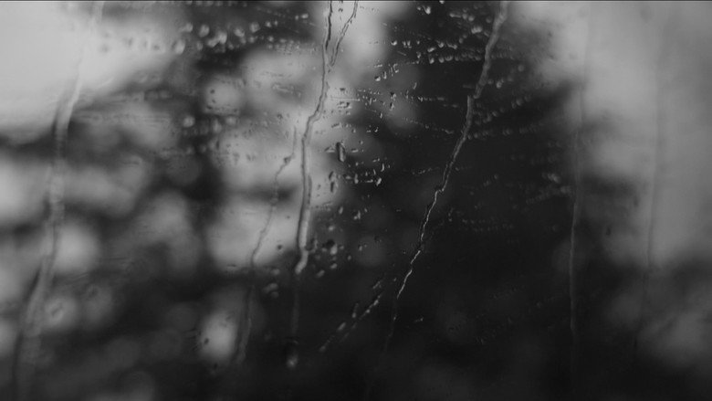 The New Life still 6