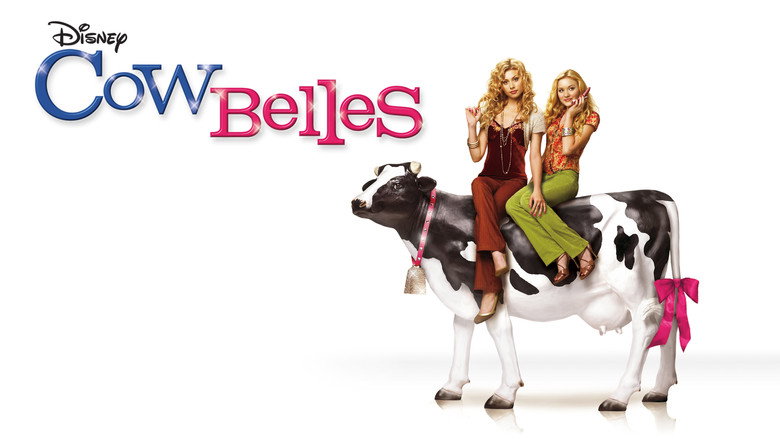 Cow Belles still 6