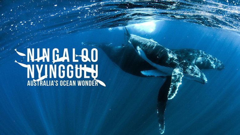 Ningaloo Nyinggulu still 4