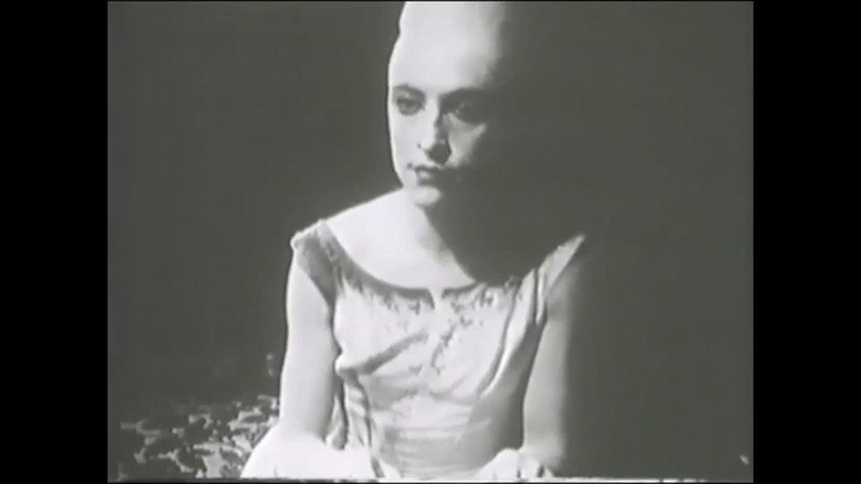 FRANZ ZWARTJES : "DO BIZARRO AO ERÓTICO" still 4